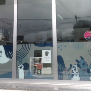 Ampliación, dixitalización e optimización ambiental de clínica veterinaria