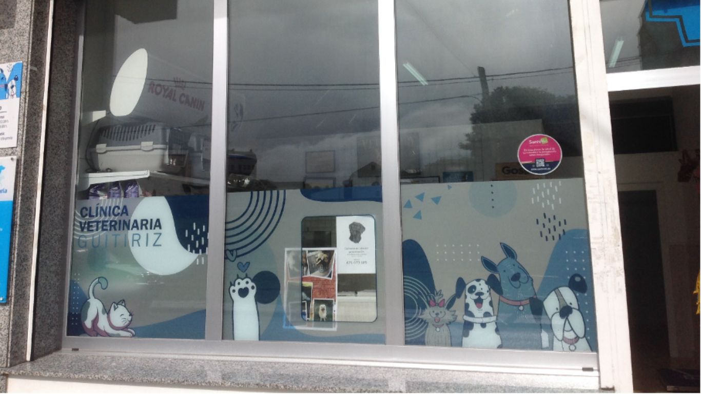 Ampliación, dixitalización e optimización ambiental de clínica veterinaria