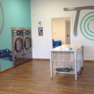 Local para actividad de autoservicio de lavandería