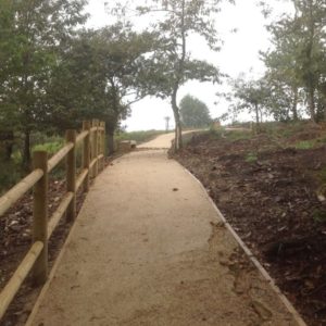 Creación dun parque biosaudable en Feira do Monte